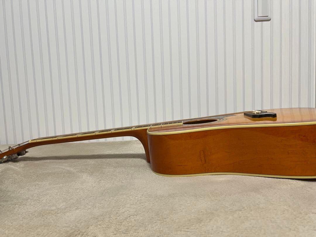 Epiphoneエレアコ DovePROギグバッグ