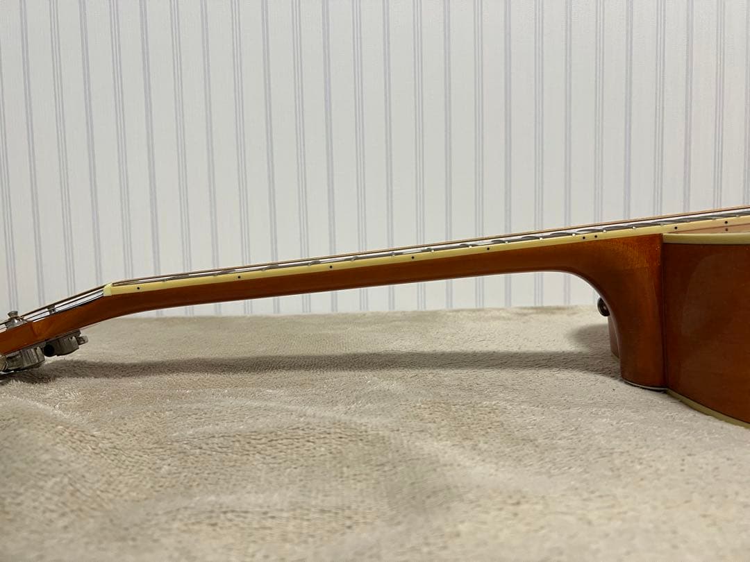 Epiphoneエレアコ DovePROギグバッグ