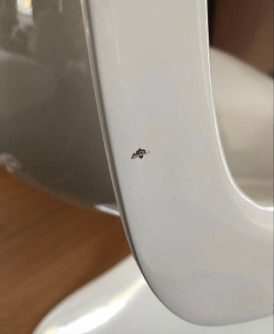 パントンチェアリプロダクト