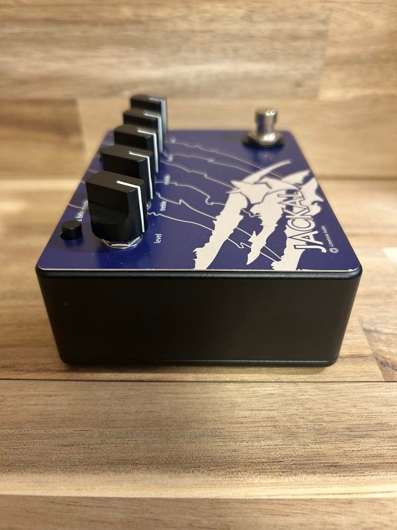 jackal イシバシ楽器限定カラー