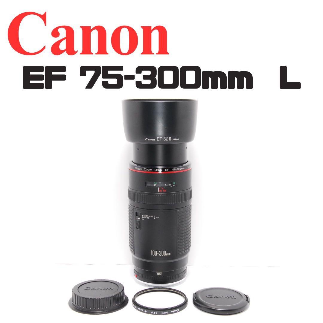 【希少】Canon 100-300mm L レンズ プロ仕様 望遠レンズ
