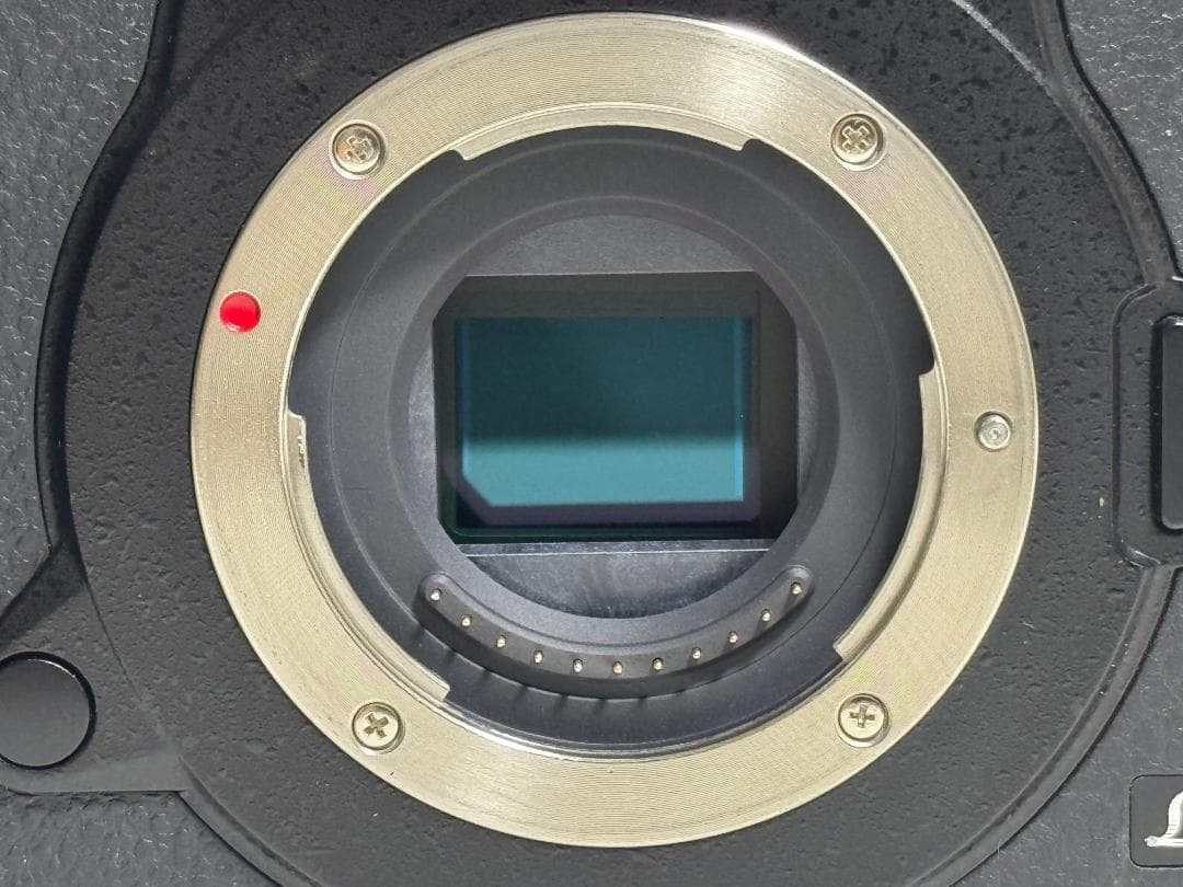 ［最終値下げ］Panasonic LUMIX DC-GH5M V-Log拡張済