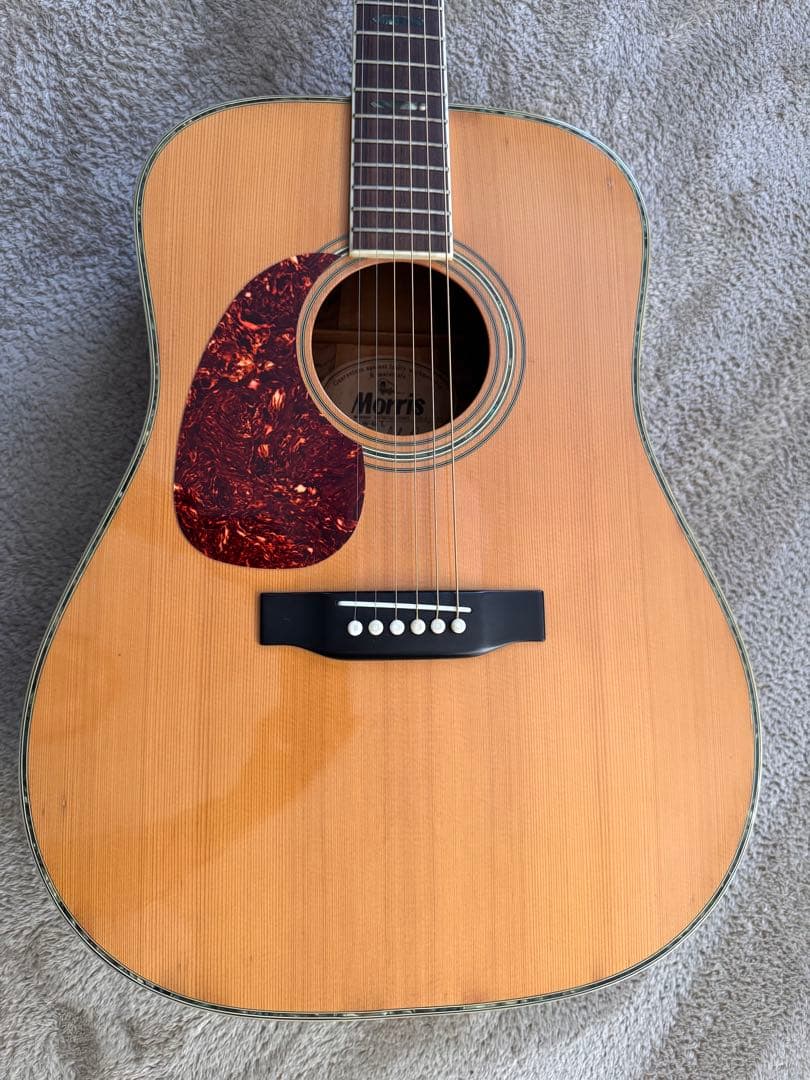 Morris モーリス W-40L レフティ アコギ カタログ付き