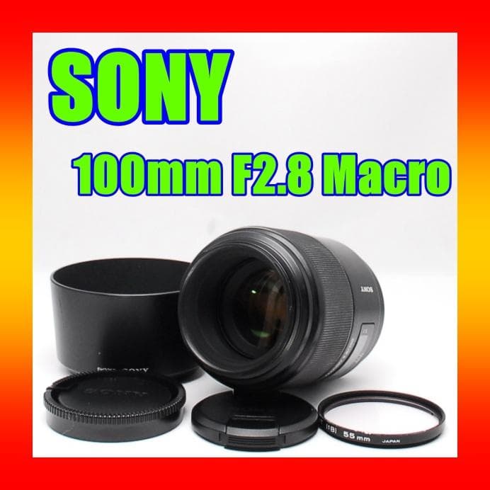 SONY ソニー 100mm F2.8 Macro マクロ SAL100M28