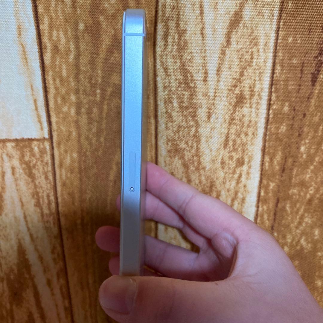 iPhone SE ￼最大容量￼100% ￼