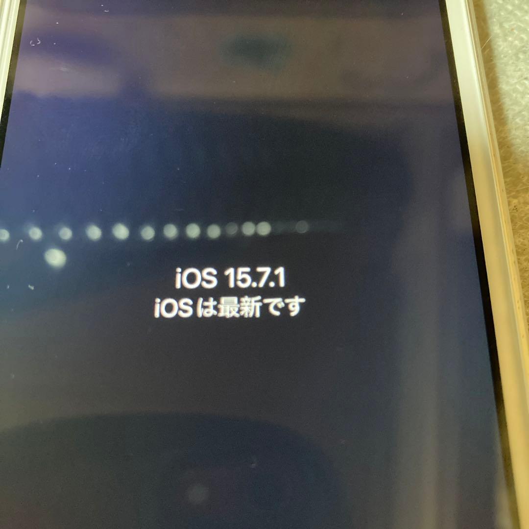 iPhone SE ￼最大容量￼100% ￼