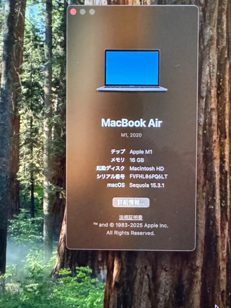 MacBook本体 Macbook Air M1 16GB 1TB Pro App