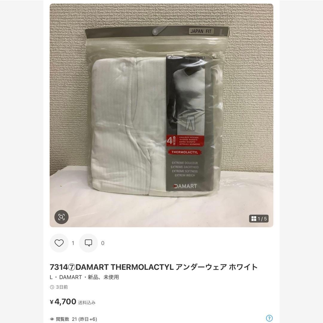 7301⑥【DAMART(ダマール) THERMOLACTYL Lサイズ 】