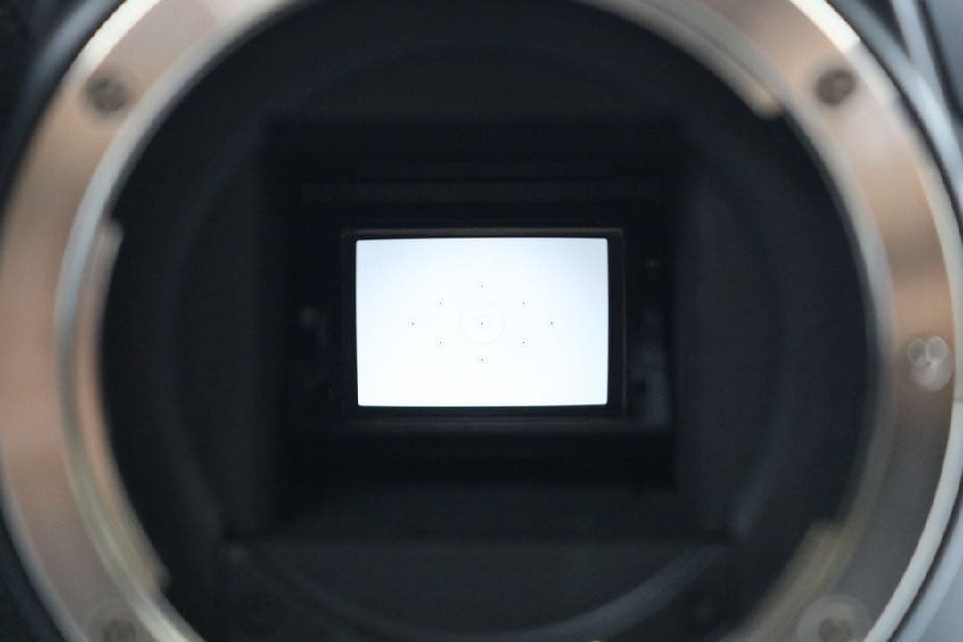 ボディほぼ新品 【Canon EOS Kiss X10 ダブルレンズセット】