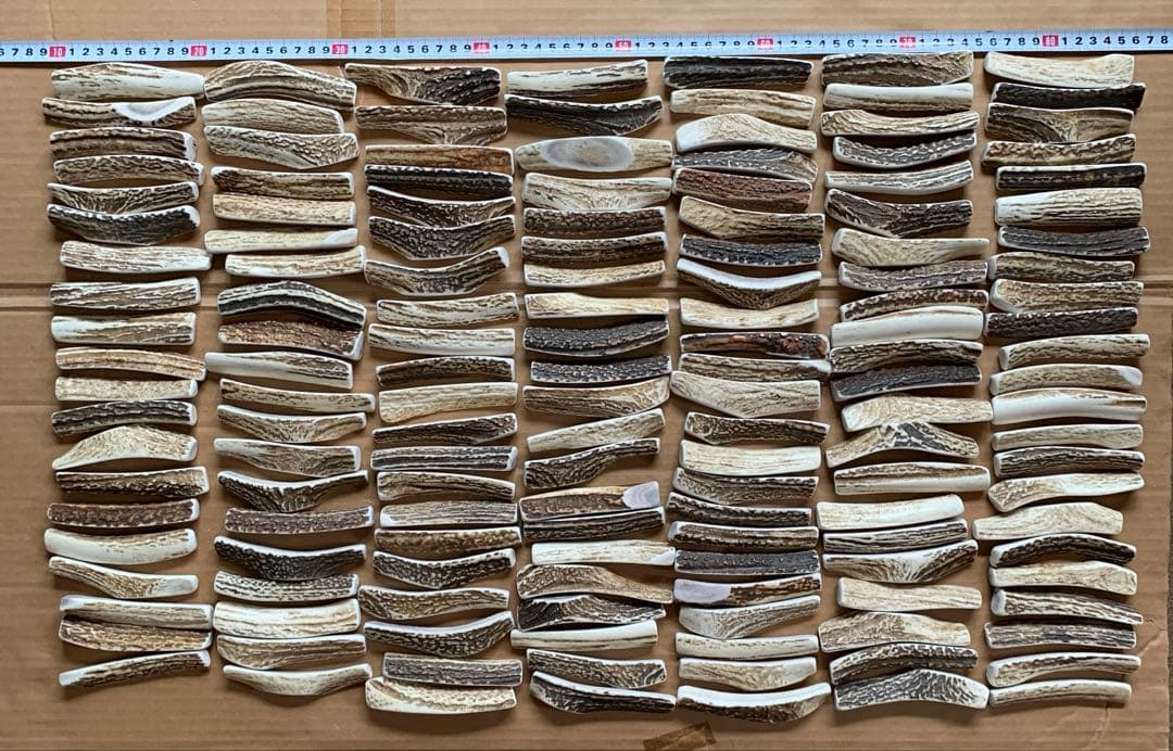 No.2118『鹿角4つ割り150本セット』鹿の角　エゾ鹿　鹿角　蝦夷鹿