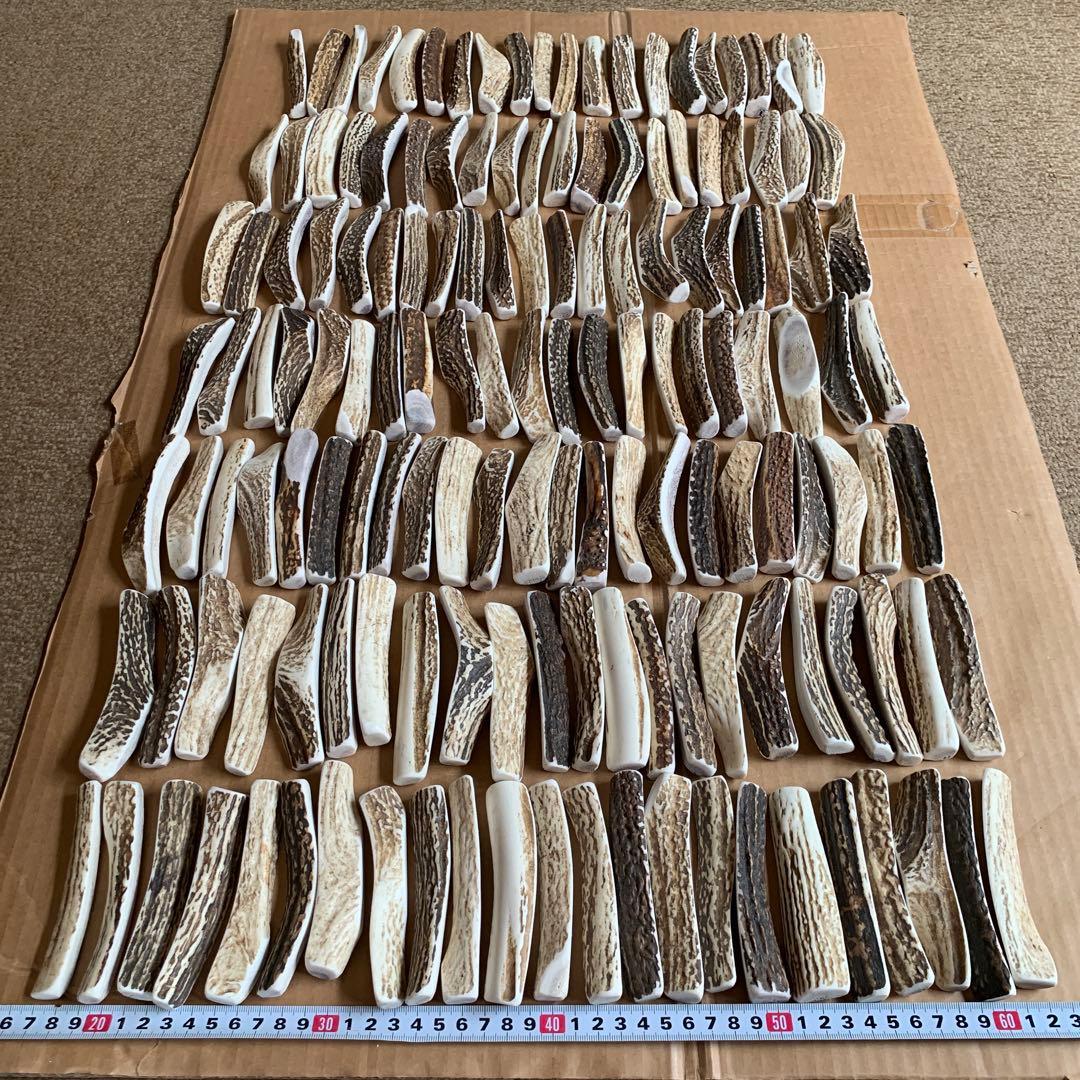 No.2118『鹿角4つ割り150本セット』鹿の角　エゾ鹿　鹿角　蝦夷鹿
