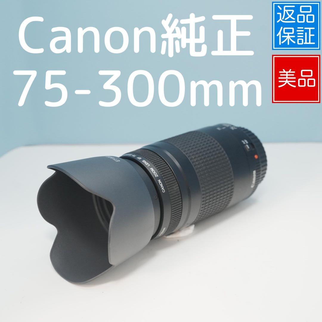 Canon純正 75-300mm 望遠レンズ 美品 a4997