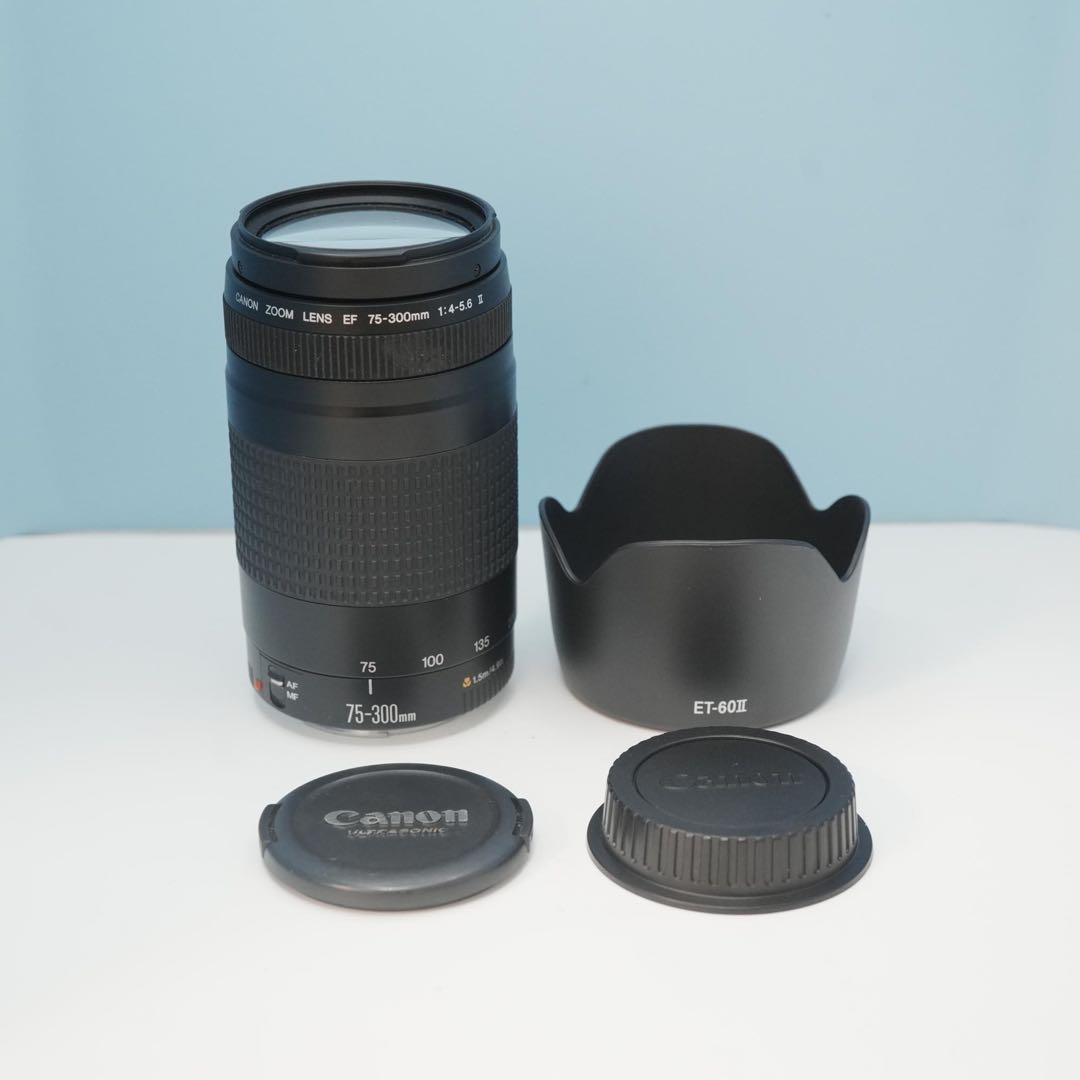 Canon純正 75-300mm 望遠レンズ 美品 a4997