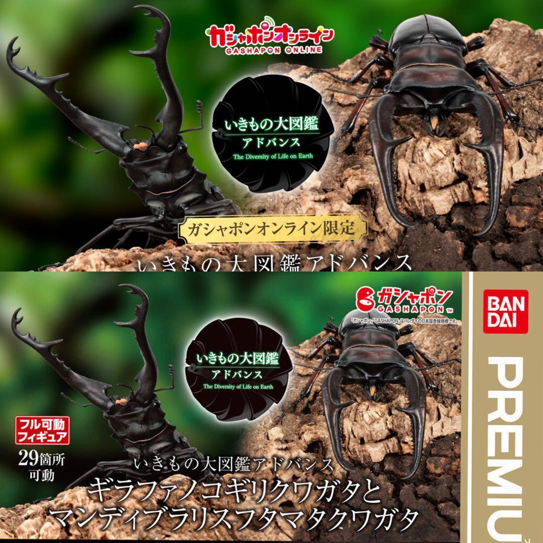 平田　ギラファノコギリクワガタ　カプセル版&オンライン版