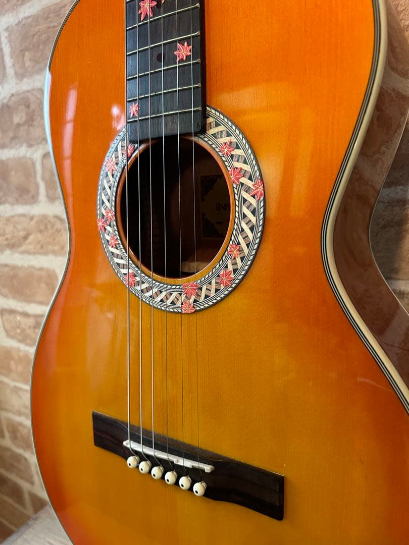 HEADWAYエレクトリックアコースティックギター