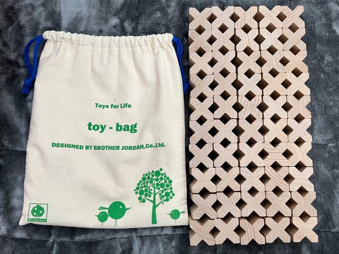 セレクタ社　エックスブロック　50個