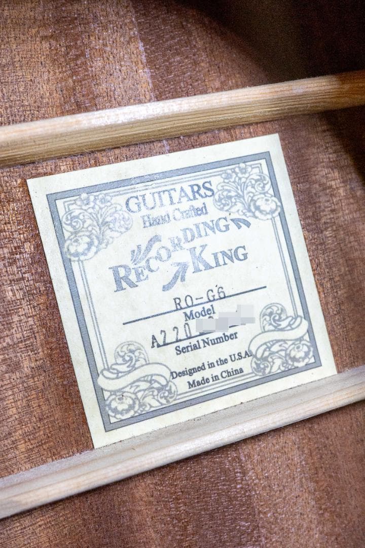 Recording King RO-G6 【美品】OOOタイプ 新品ギグバッグ