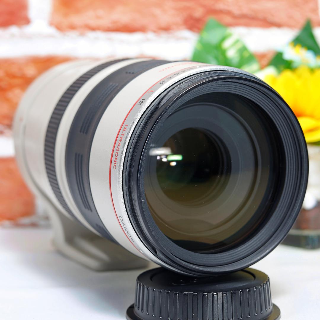 超望遠 Canon EF 100-400mm F4.5-5.6 L IS USM