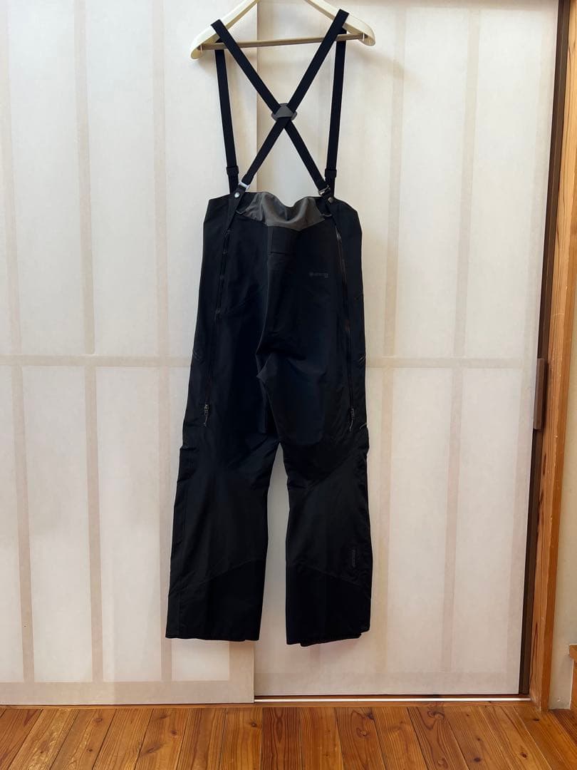 新品未使用 Patagonia Men's PowSlayer Bibs