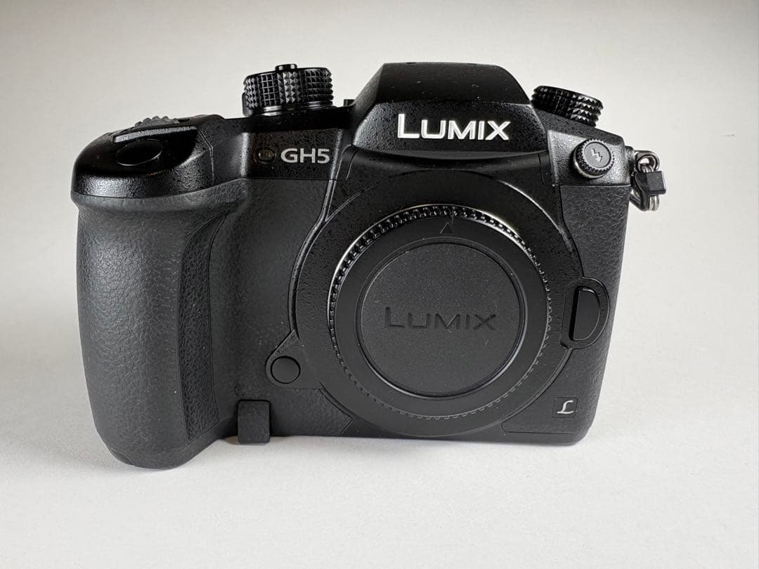 Panasonic LUMIX GH5 ミラーレス一眼 ボディ バリアングル液晶
