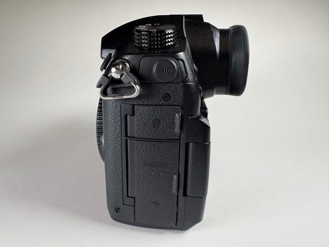 Panasonic LUMIX GH5 ミラーレス一眼 ボディ バリアングル液晶