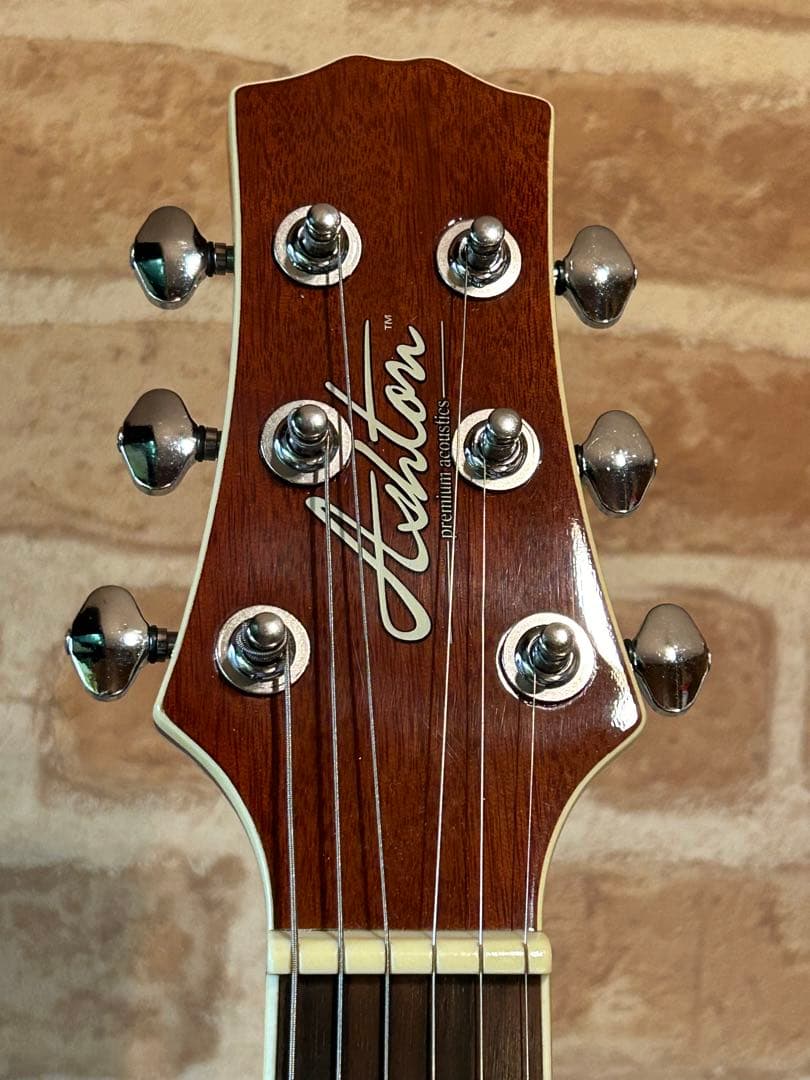 Ashton(アシュトン・オーストラリア)アコースティックギター