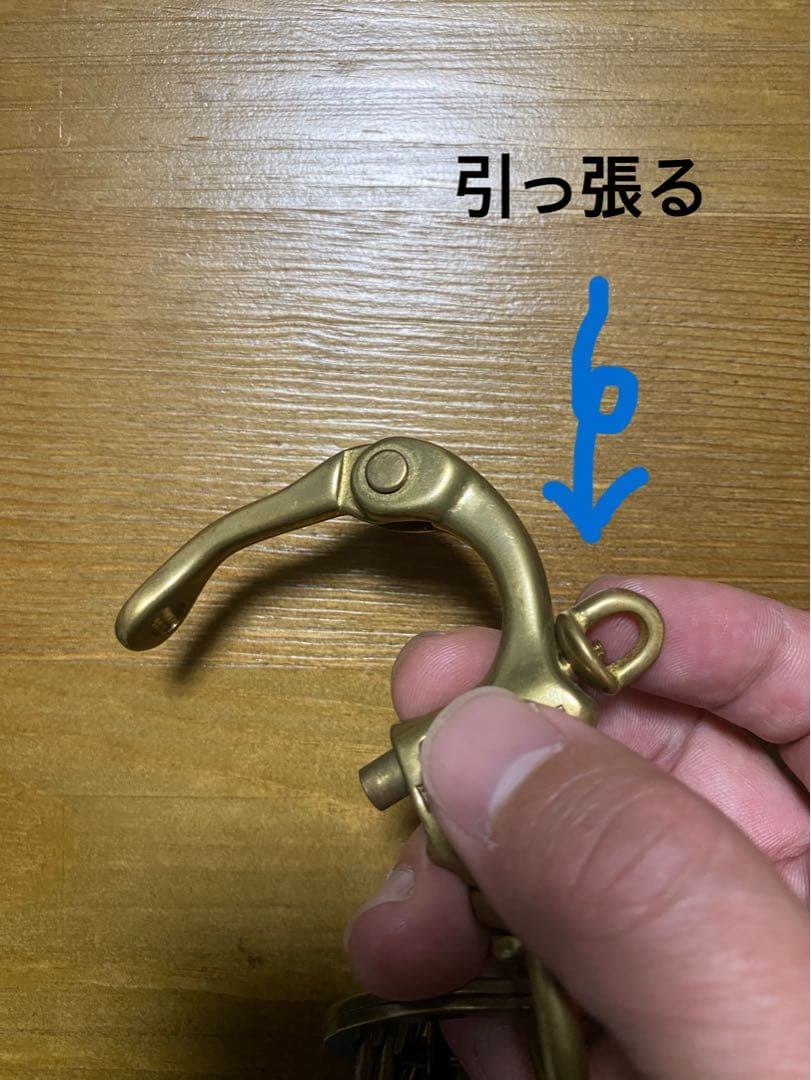 cornelian taurus コーネリアンタウラスクロコダイルキーホルダー