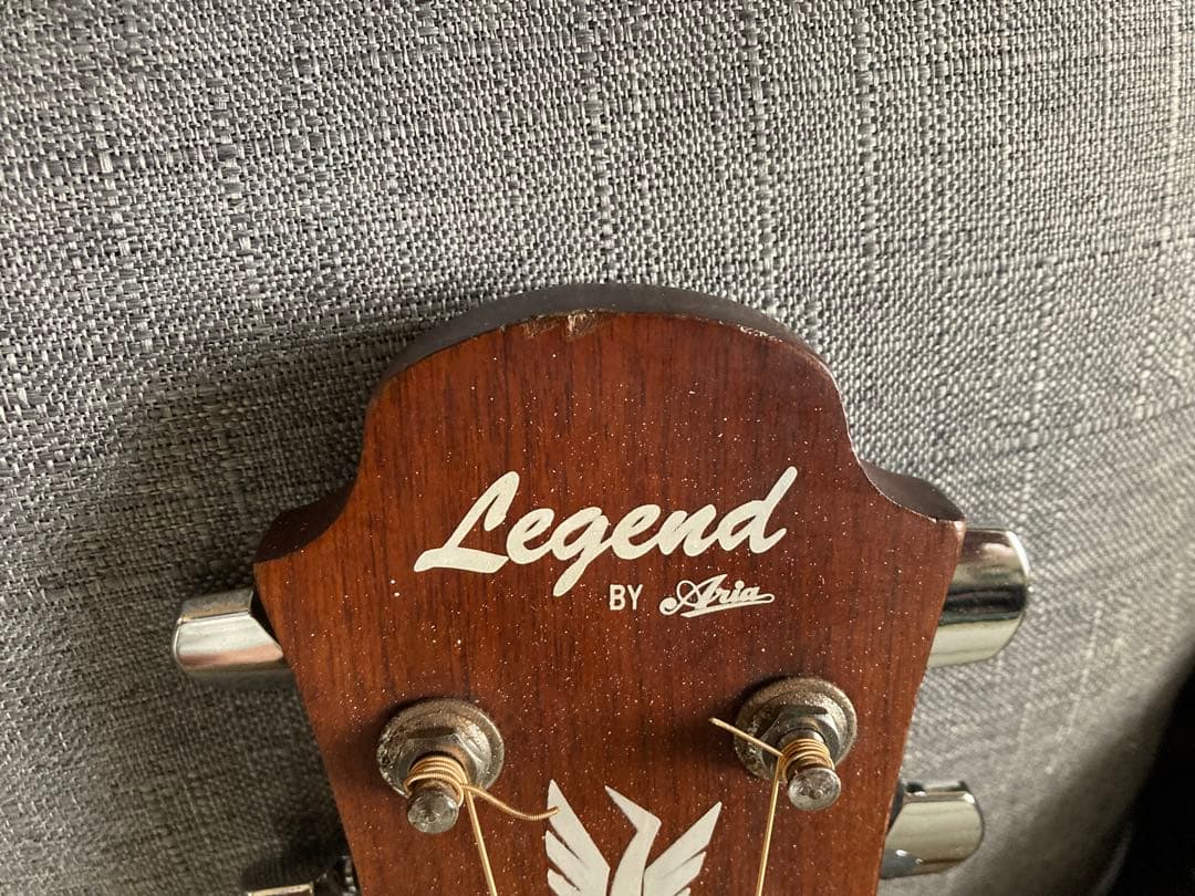 猫*様 ☆新年値下　アクティブコントローラを追加　エレアコ　Legend by