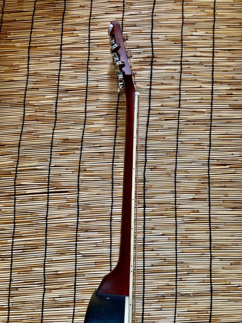 猫*様 ☆新年値下　アクティブコントローラを追加　エレアコ　Legend by