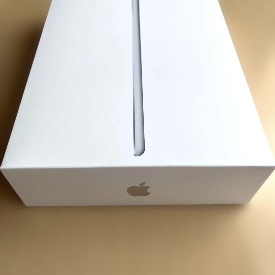 【美品】iPad mini 第5世代 64GB Wi-Fi シルバー