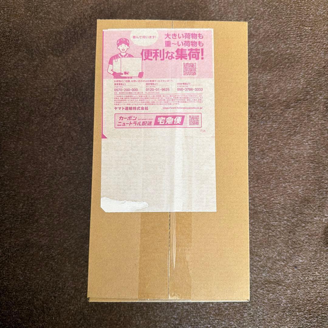 【新品】ポケモンセンター　ヒロシマスペシャルBOX