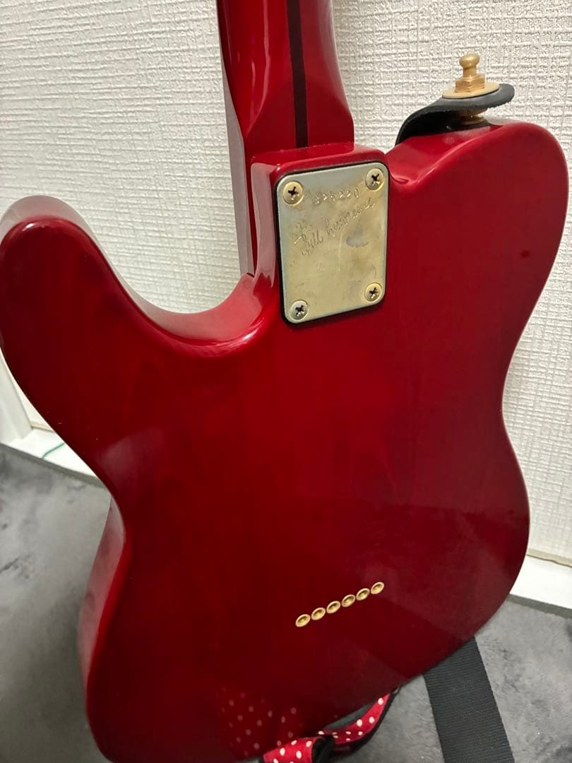 Bill Lawrence BKIM-60G 奥居香モデル アップグレード