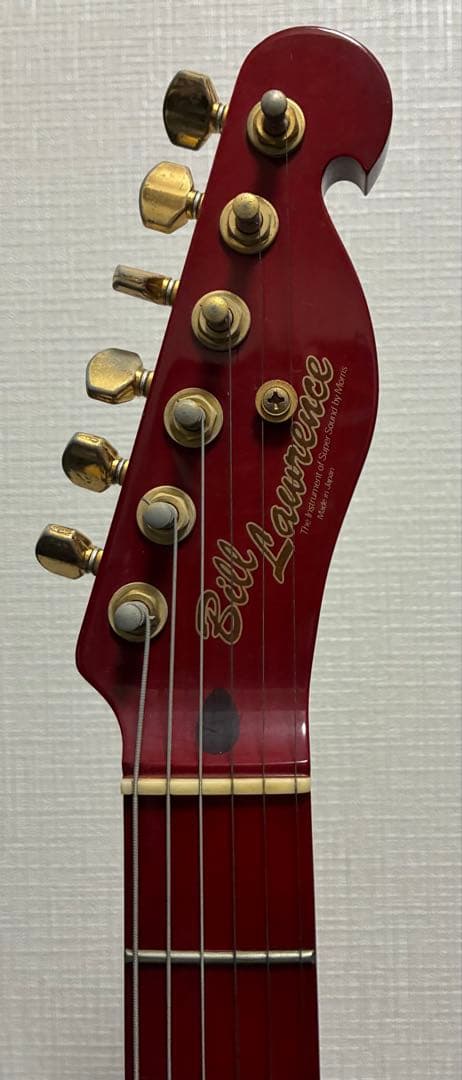 Bill Lawrence BKIM-60G 奥居香モデル アップグレード