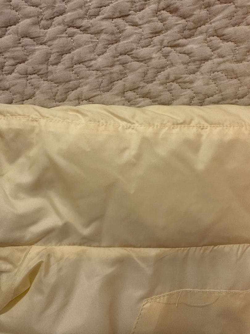 WILD THINGS JANESMITH B&Y ショートダウンベスト