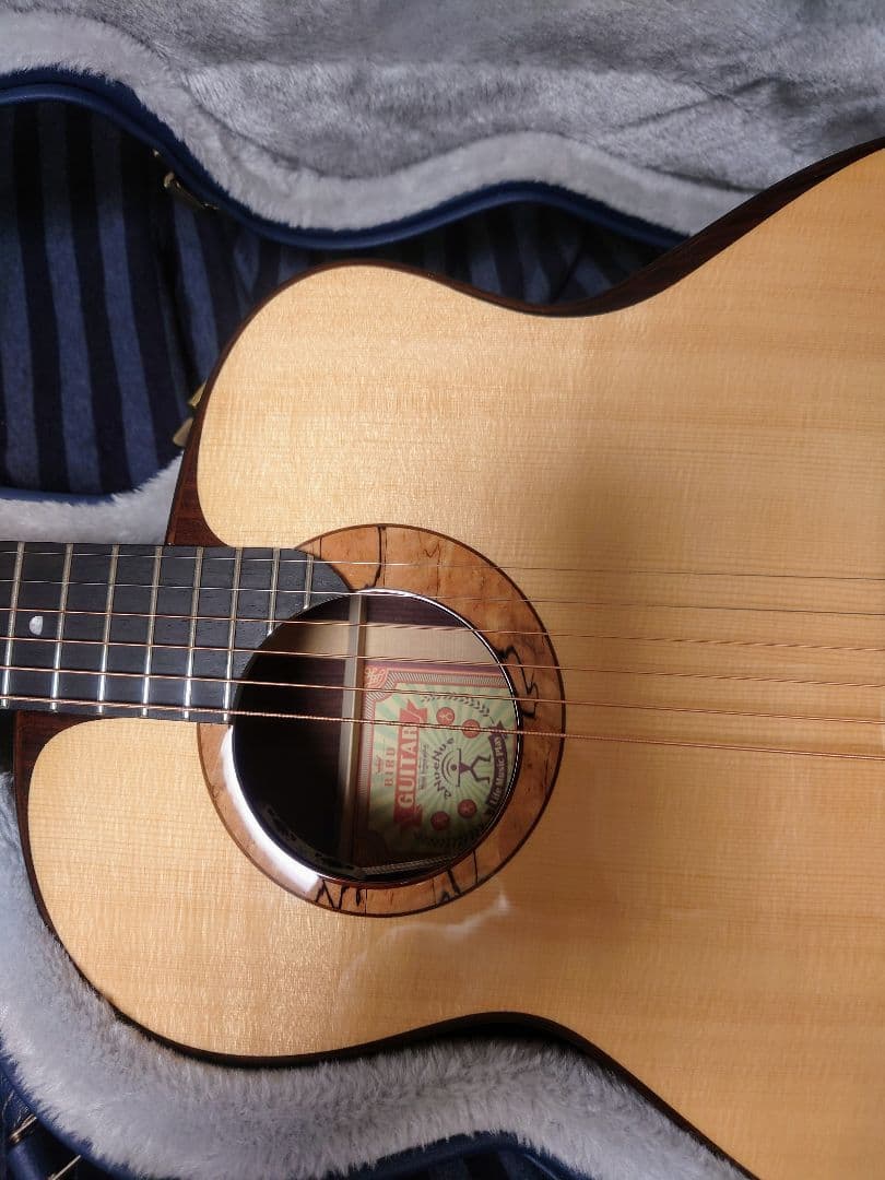 ☆aNueNue aNN-L200E 杉田健司デザイン 新品同様品 エレアコ☆