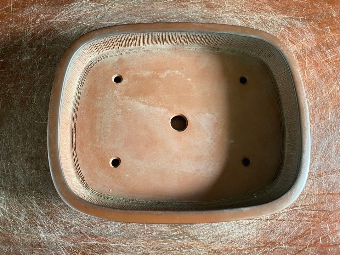 白木盆栽園　峰輝堂　盆栽鉢　横24.3センチ　鉢和鉢盆栽趣味陶器盆器植木鉢