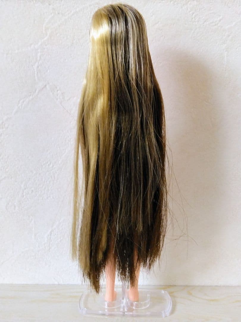 ♥kichoさま専用♥リカちゃんキャッスルリカちゃん　ストレートロングメッシュ