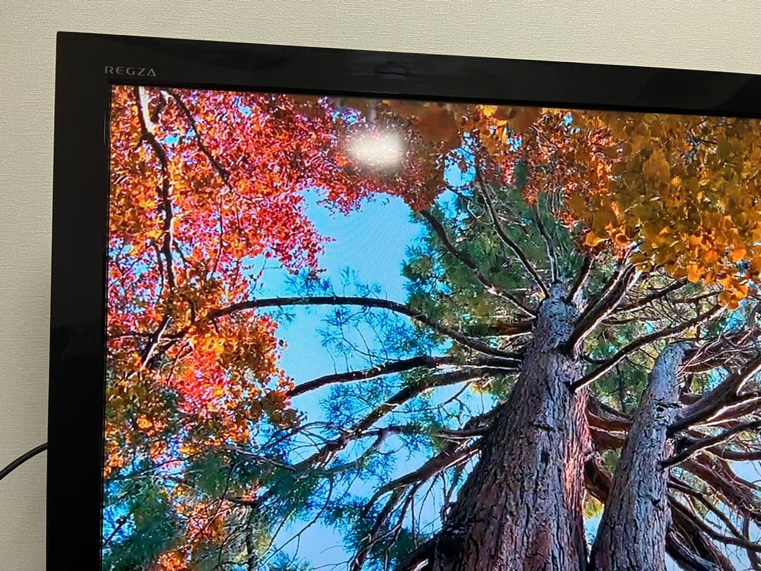 東芝　REGZA　40インチ　2011年製造　液晶テレビ