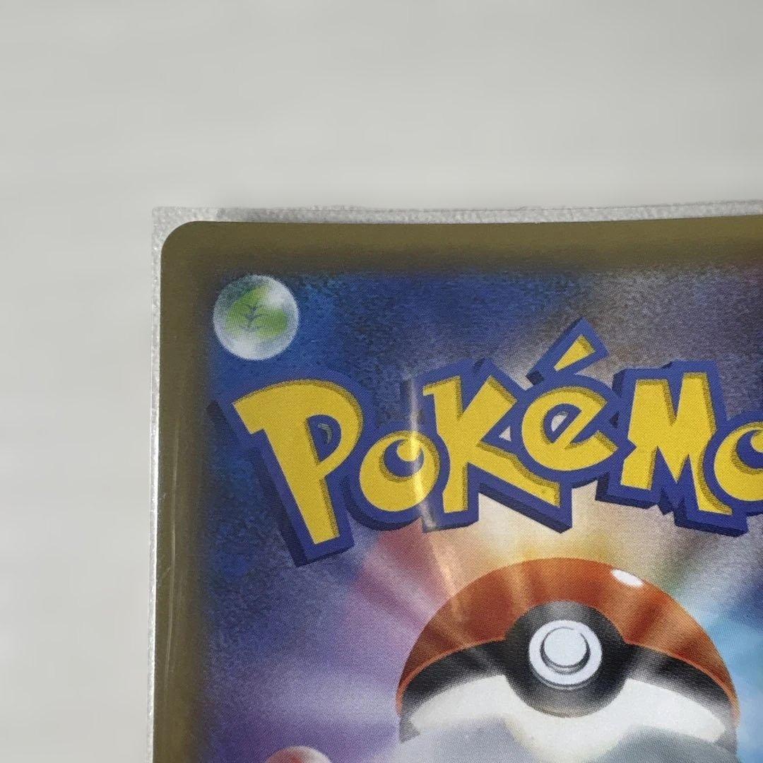 リザードンフシギバナ25th