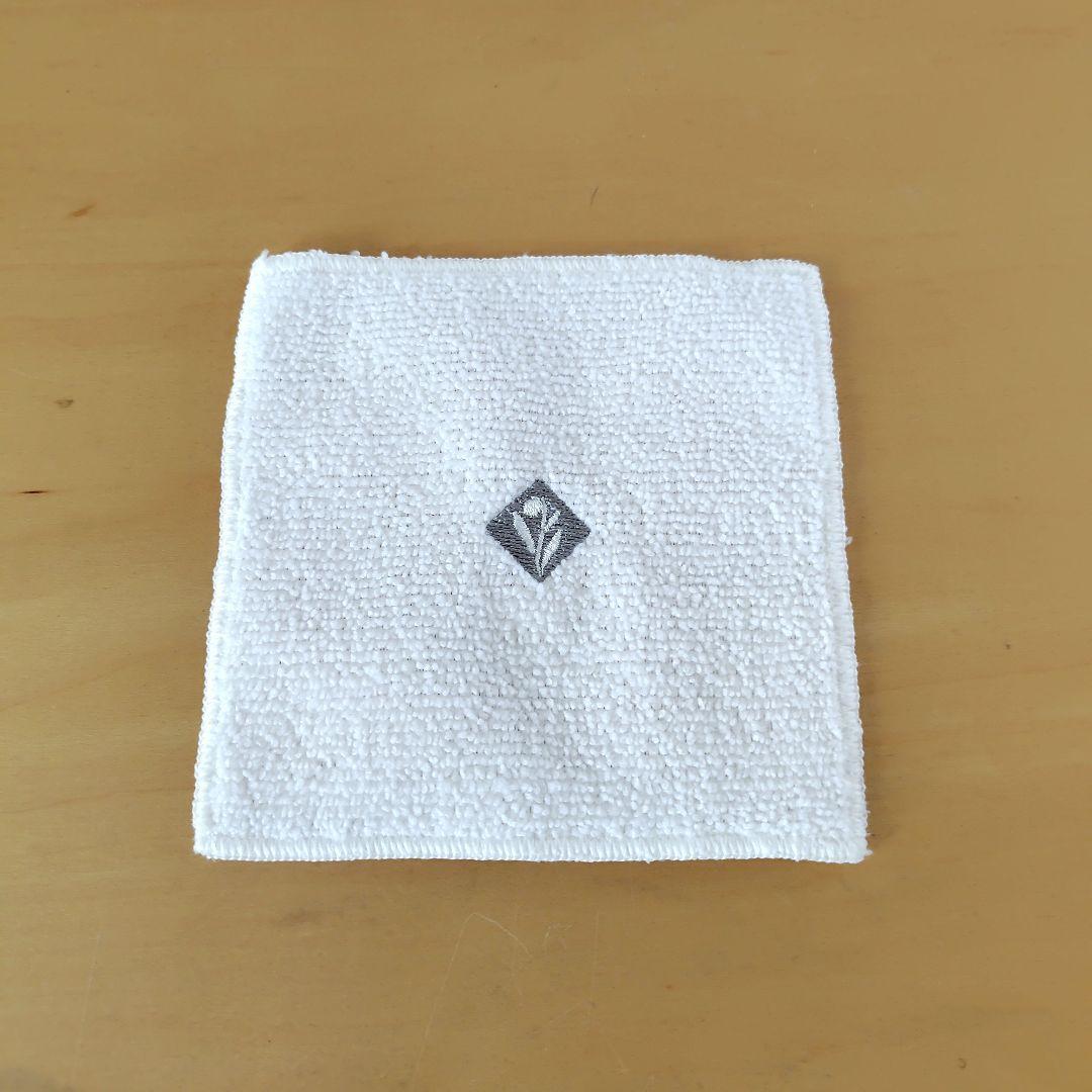 エンビロン　エレクトロソニック　DFモバイル ／ ENVIORN 美顔器