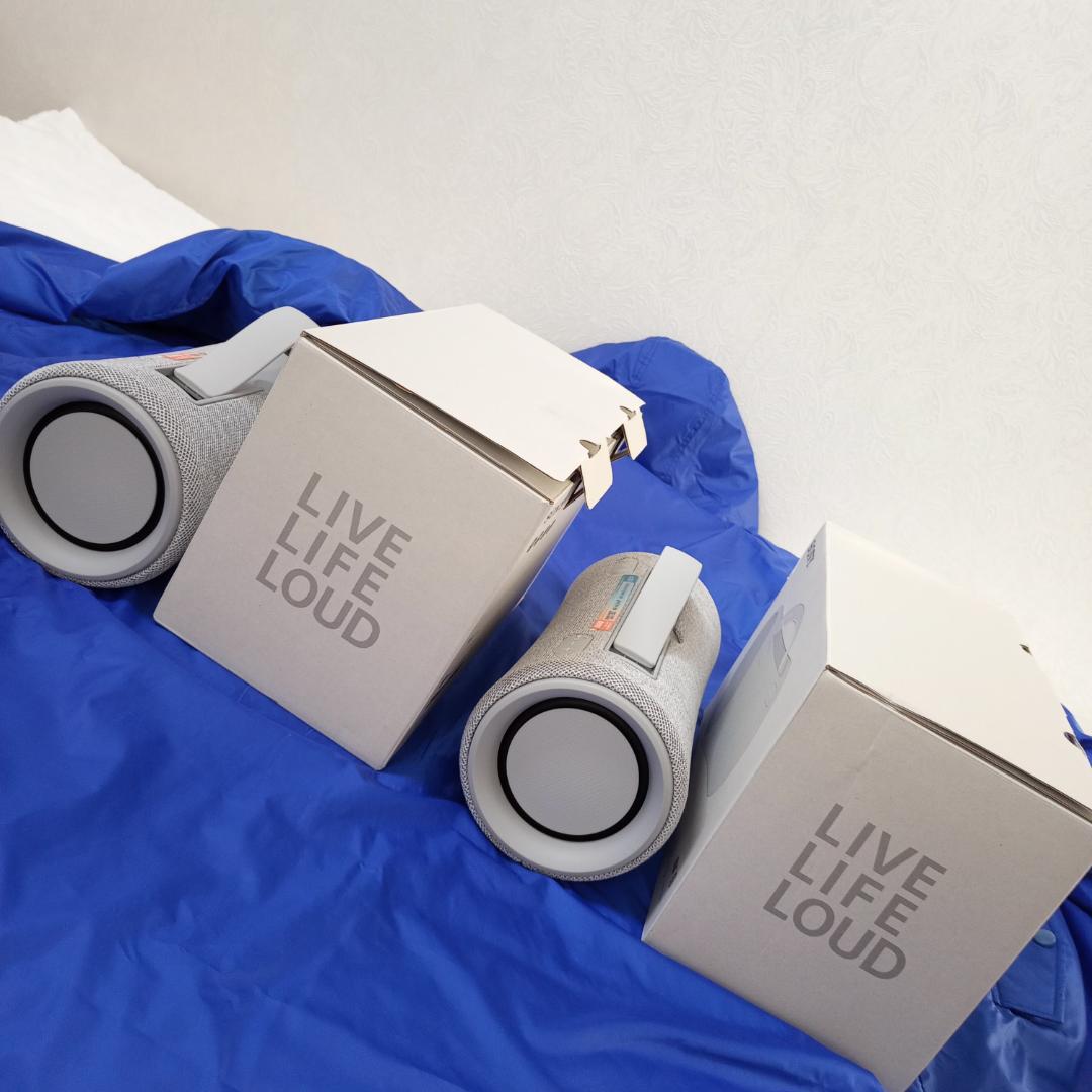 ソニー SRS-XG300 HC ライトグレー ワイヤレススピーカー 二台組