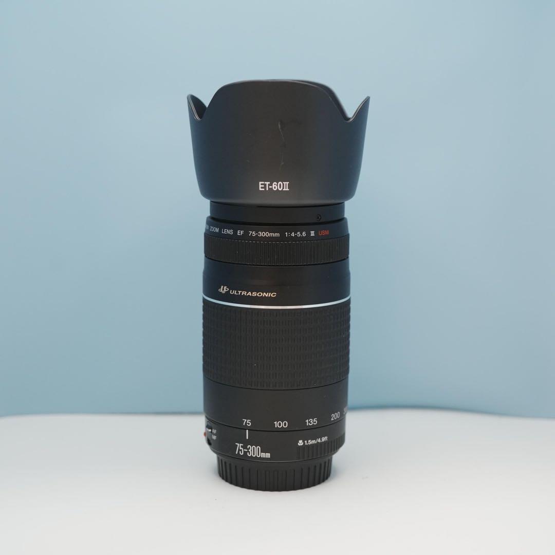 Canon純正 75-300mm 望遠レンズ 美品 a3947