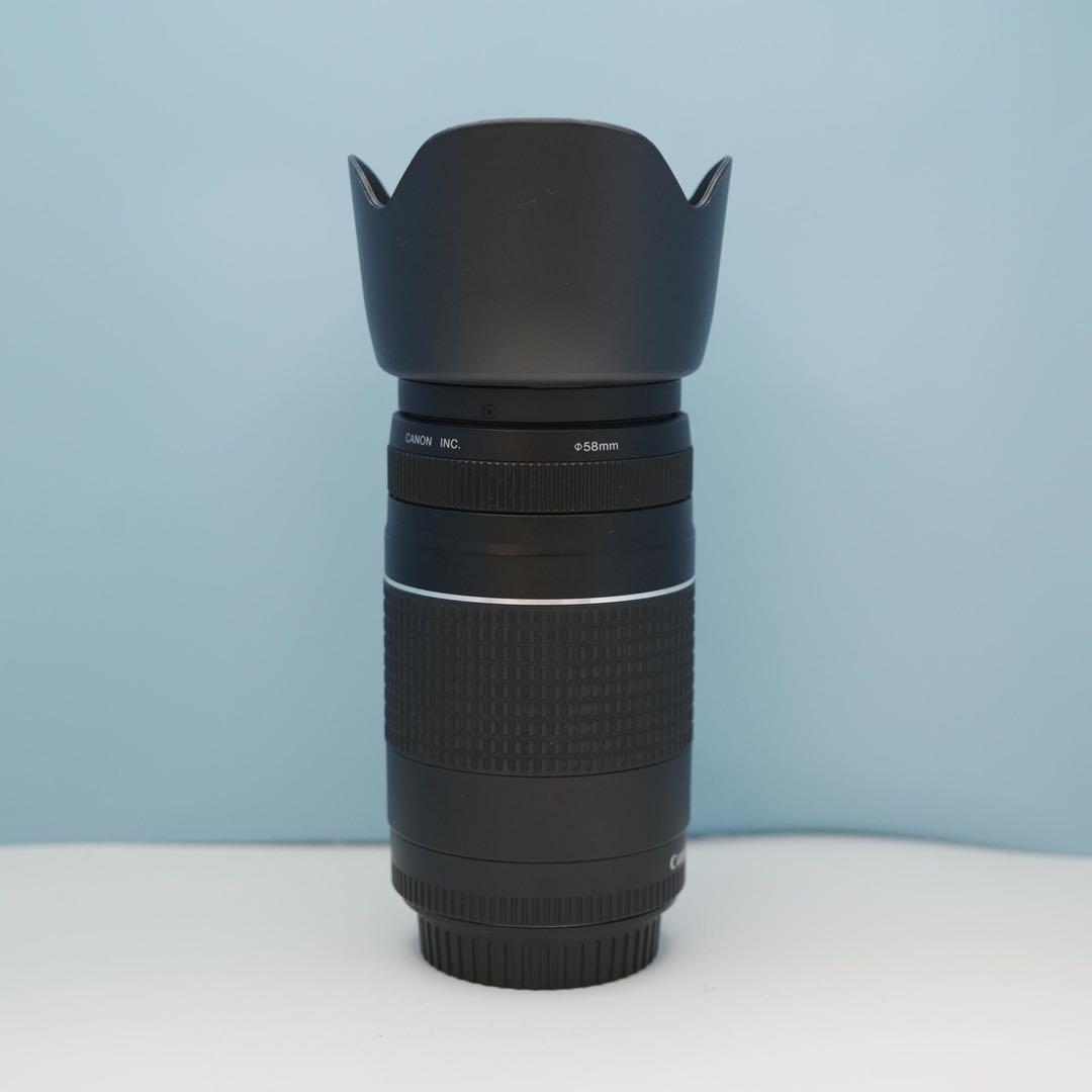 Canon純正 75-300mm 望遠レンズ 美品 a3947