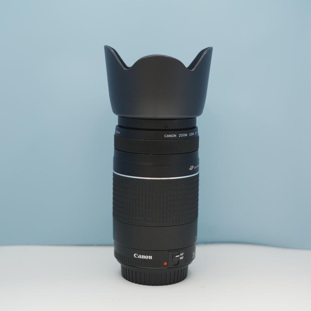 Canon純正 75-300mm 望遠レンズ 美品 a3947