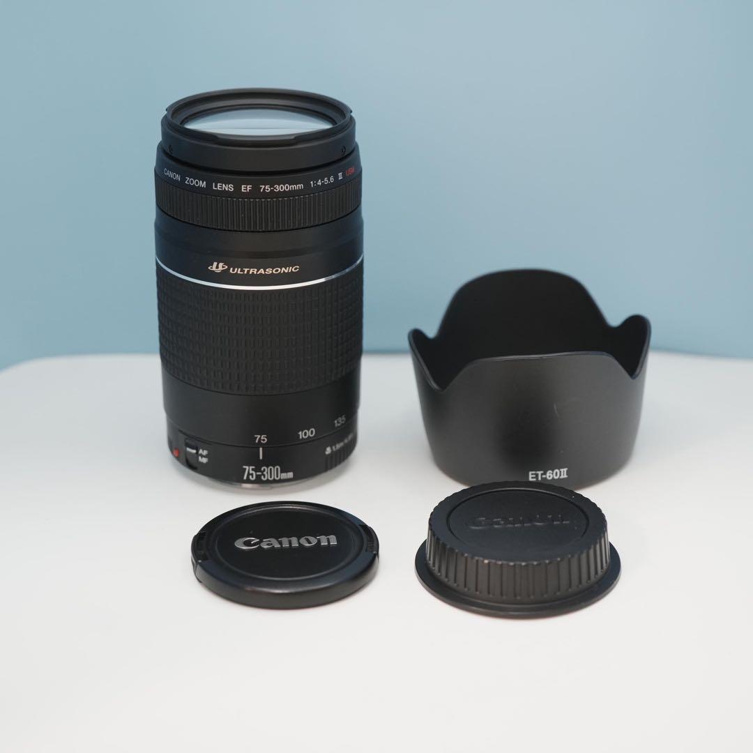 Canon純正 75-300mm 望遠レンズ 美品 a3947
