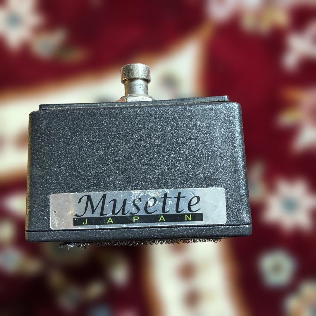 ギター friedman be-od