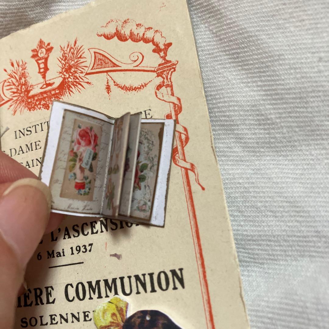 フランスアンティークミニョネット　プレゼンテーションシート　フレンチミニョネット