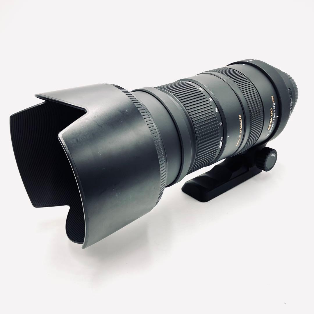 ❁大迫力！超望遠❁SIGMA 50-500mm DG OS HSM キャノン用