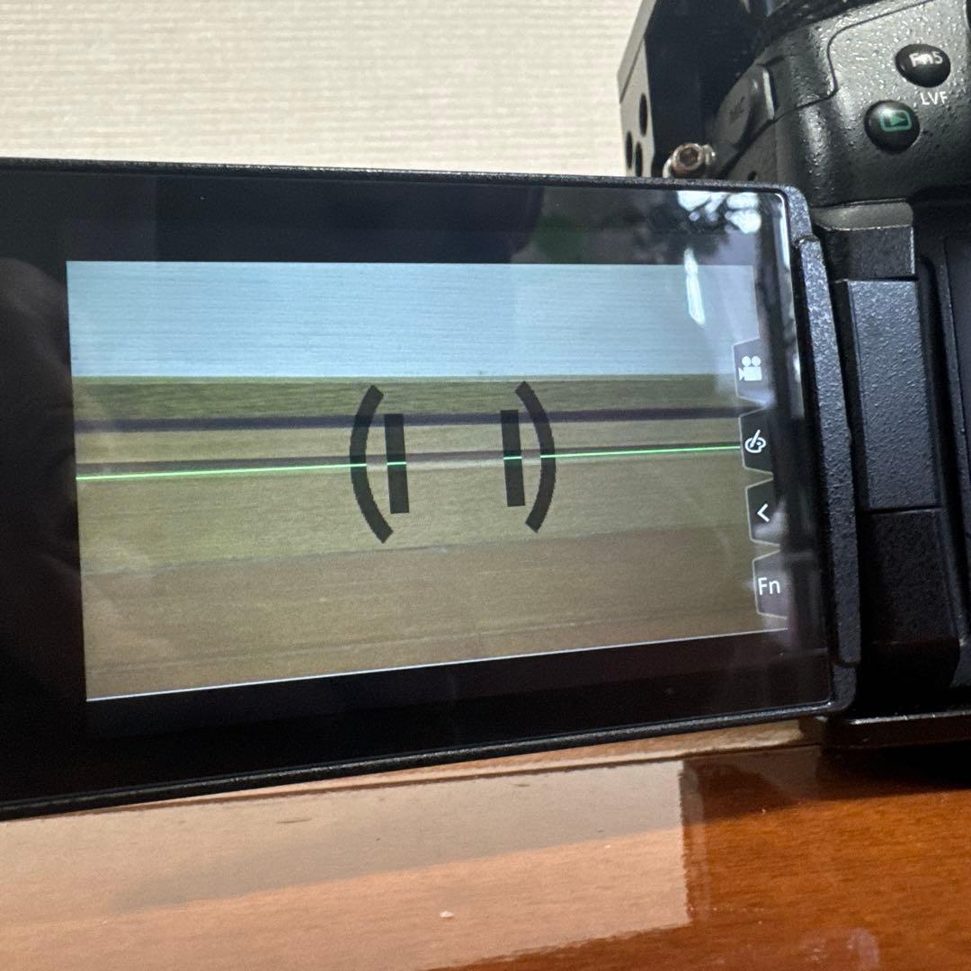 LUMIX GH5 + レンズ + バッテリー4個セット + 充電器