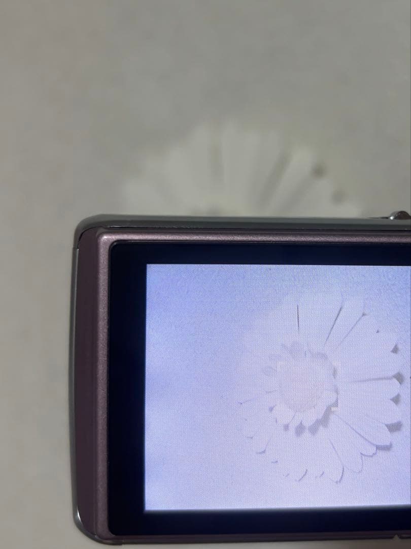 パナソニック LUMIX DMC-FX01 オールドコンデジ